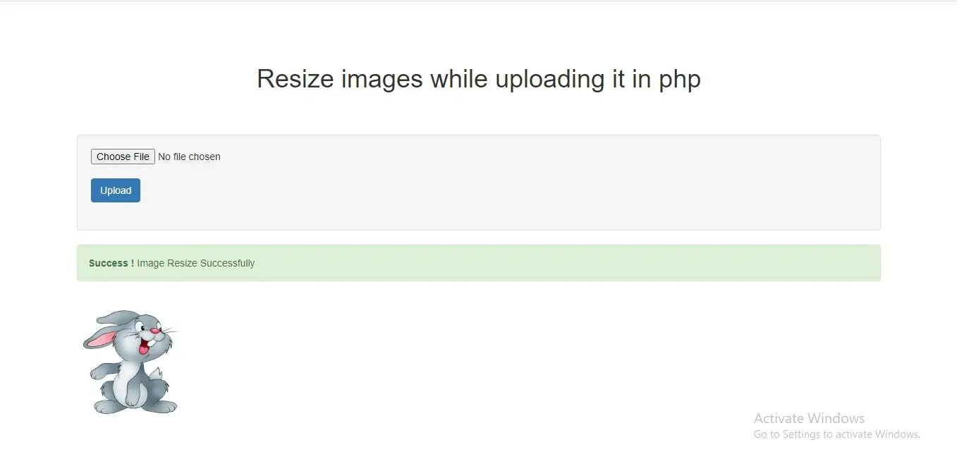 resize_image