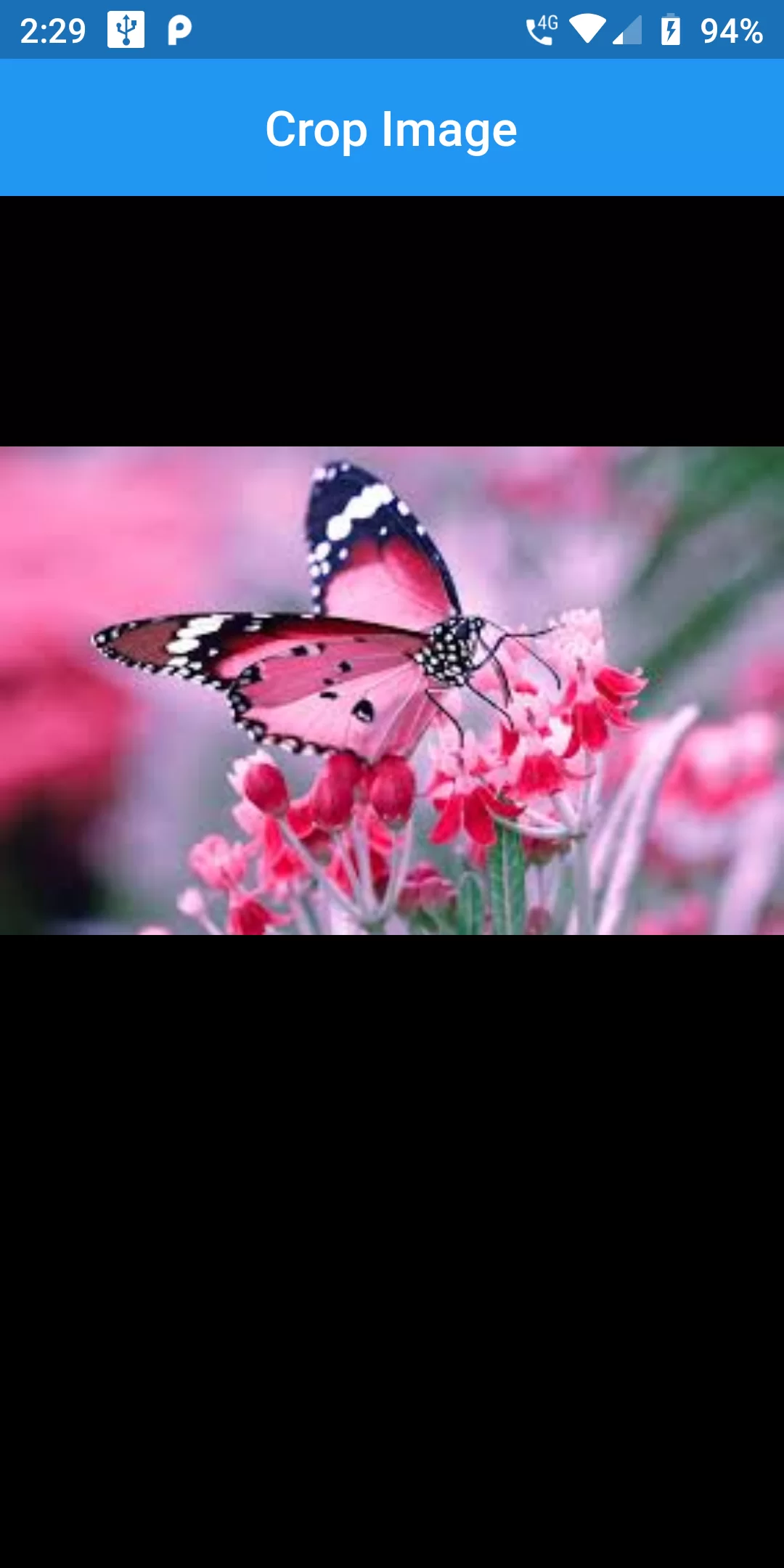 How To Create Crop Image Using Flutter Android App